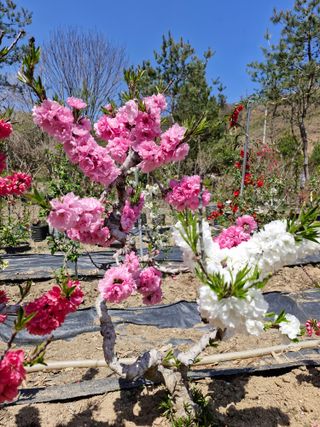 김재열님의 자유주제 · 자유게시판 작성글 사진
