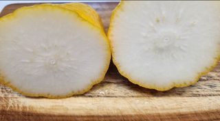 정미리님의 자유주제 · 자유게시판 작성글 사진