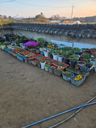 자연인님의 자유주제 · 자유게시판 작성글 사진