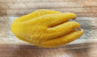 정미리님의 자유주제 · 자유게시판 작성글 사진