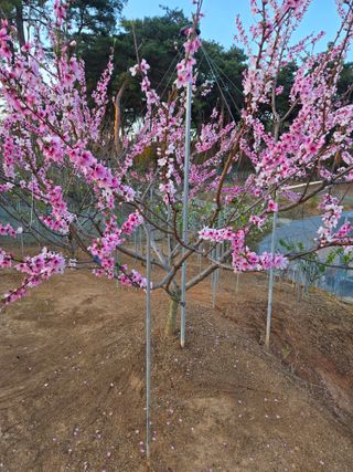 자연인님의 자유주제 · 자유게시판 작성글 사진