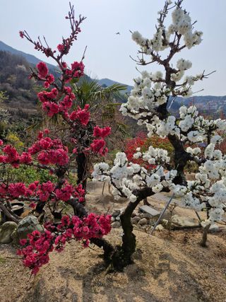김재열님의 자유주제 · 자유게시판 작성글 사진