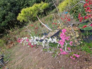 김재열님의 자유주제 · 자유게시판 작성글 사진