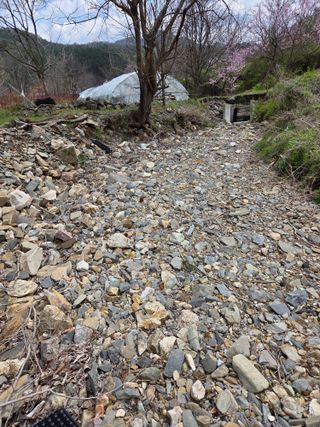 에덴농원님의 자유주제 · 자유게시판 작성글 사진