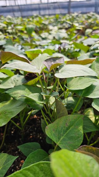 김동수님의 자유주제 · 자유게시판 작성글 사진