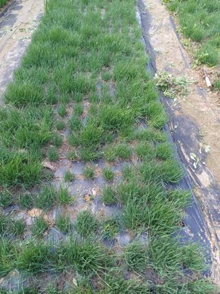 삼성농산님의 자유주제 · 자유게시판 작성글 사진