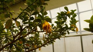 정미리님의 작성글 사진