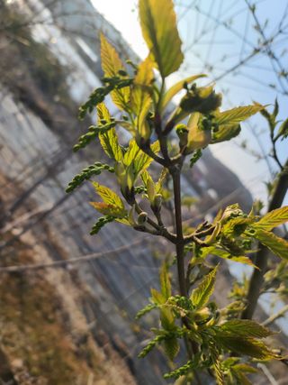 은혜농원(사과농사)님의 자유주제 · 자유게시판 작성글 사진