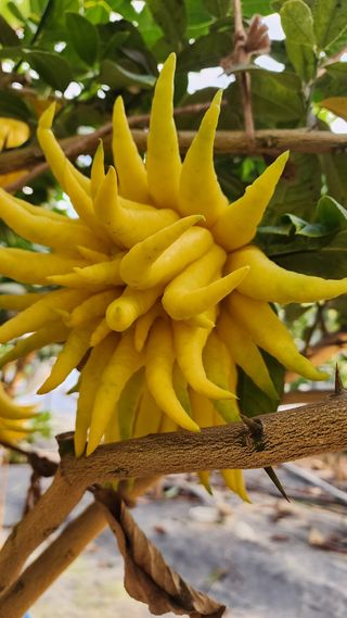 정미리님의 작성글 사진