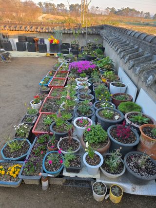 자연인님의 자유주제 · 자유게시판 작성글 사진