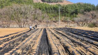김선희님의 🌿농부님의 제초법은? · 참여글 작성글 사진