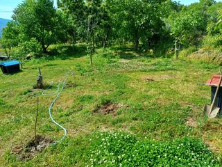 김중근님의 🌿농부님의 제초법은? · 참여글 작성글 사진