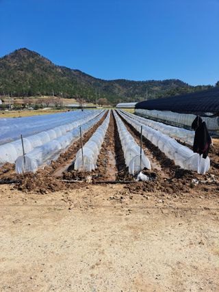 꿈드림뜨락님의 자유주제 · 자유게시판 작성글 사진