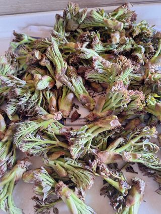 정도영님의 자유주제 · 자유게시판 작성글 사진