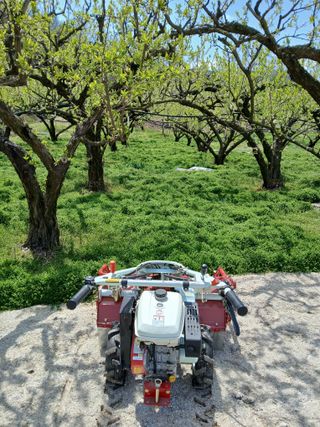 이재명님의 🌿농부님의 제초법은? · 참여글 작성글 사진