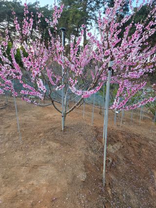 자연인님의 자유주제 · 자유게시판 작성글 사진