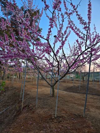 자연인님의 자유주제 · 자유게시판 작성글 사진