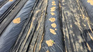 김선희님의 🌿농부님의 제초법은? · 참여글 작성글 사진