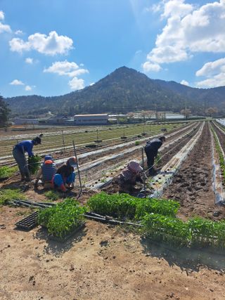 꿈드림뜨락님의 자유주제 · 자유게시판 작성글 사진
