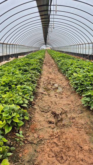 김동수님의 자유주제 · 자유게시판 작성글 사진