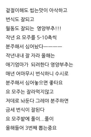 삼성농산님의 자유주제 · 자유게시판 작성글 사진