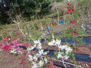 김재열님의 자유주제 · 자유게시판 작성글 사진