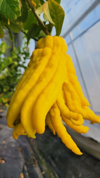 정미리님의 작성글 사진