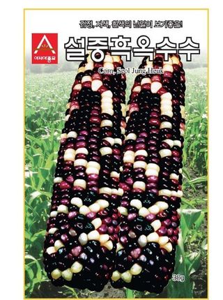 아시아종묘님의 자유주제 · 자유게시판 작성글 사진