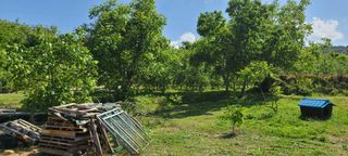 김중근님의 🌿농부님의 제초법은? · 참여글 작성글 사진