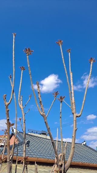 MSG0074님의 자유주제 · 자유게시판 작성글 사진