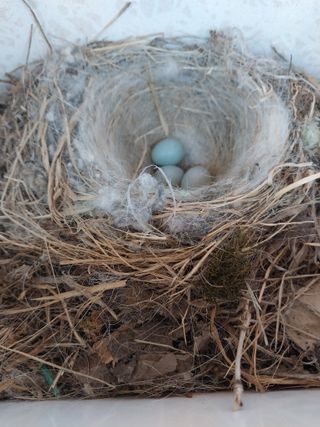 대부도하비님의 자유주제 · 자유게시판 작성글 사진