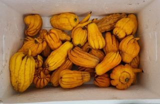 정미리님의 자유주제 · 자유게시판 작성글 사진