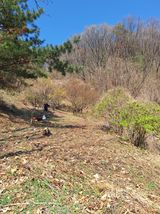 팜모닝 🌿농부님의 제초법은?·참여글 게시글 이미지