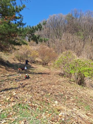 불티21님의 🌿농부님의 제초법은? · 참여글 작성글 사진