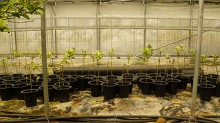 정미리님의 작성글 사진