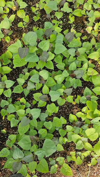 김동수님의 자유주제 · 자유게시판 작성글 사진