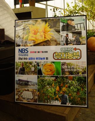 정미리님의 작성글 사진