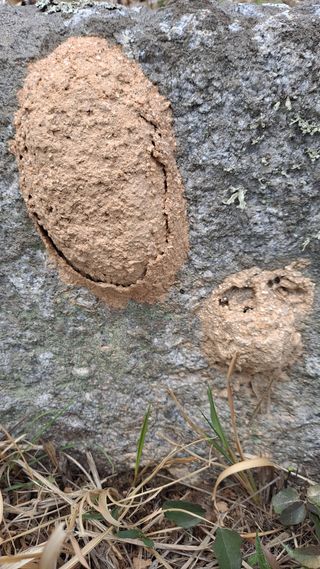 MSG0074님의 자유주제 · 자유게시판 작성글 사진