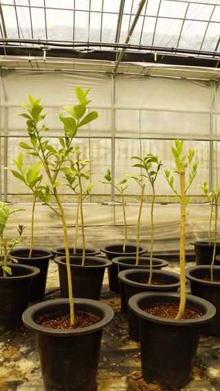 정미리님의 작성글 사진