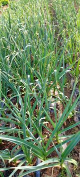 팜모닝 자유주제·사진전 게시글 이미지