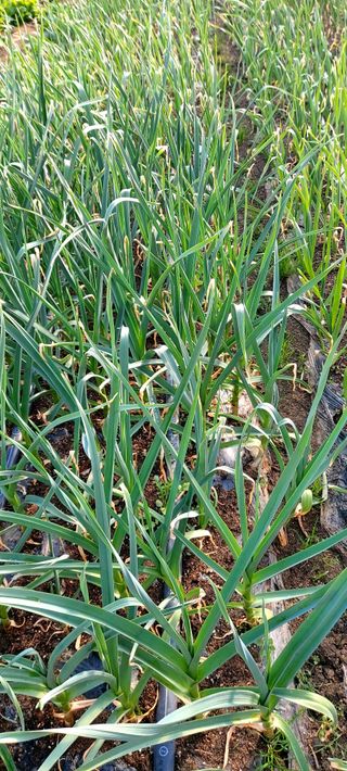 권오철님의 자유주제 · 사진전 작성글 사진