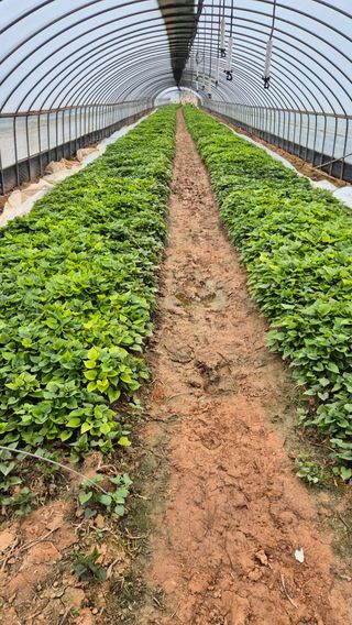 김동수님의 자유주제 · 자유게시판 작성글 사진