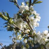 팜모닝 자유주제·자유게시판 게시글 이미지