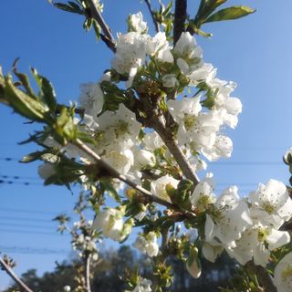 복주농장님의 자유주제 · 자유게시판 작성글 사진