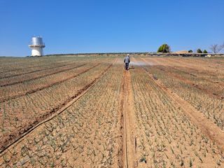 안전요원님의 🌿농부님의 제초법은? · 참여글 작성글 사진