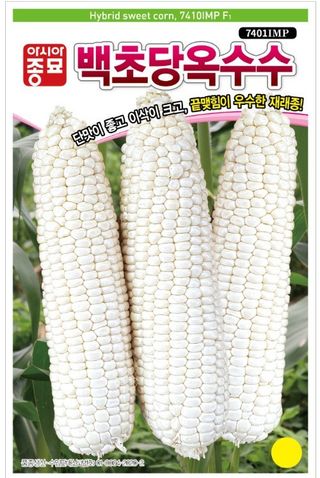 아시아종묘님의 자유주제 · 자유게시판 작성글 사진