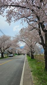 팜모닝 자유주제·자유게시판 게시글 이미지