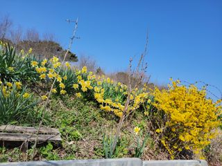 김종옥님의 자유주제 · 자유게시판 작성글 사진