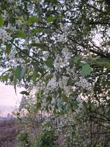 팜모닝 농사, 무엇이든 물어보세요!·참여글 게시글 이미지