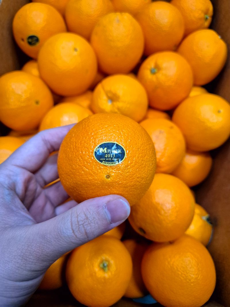 장터 상품 [달고 맛있는 블랙라벨 오렌지] 썸네일